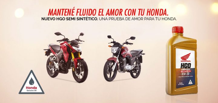 lubricante hgo 10w30