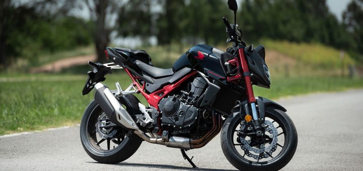 hornet