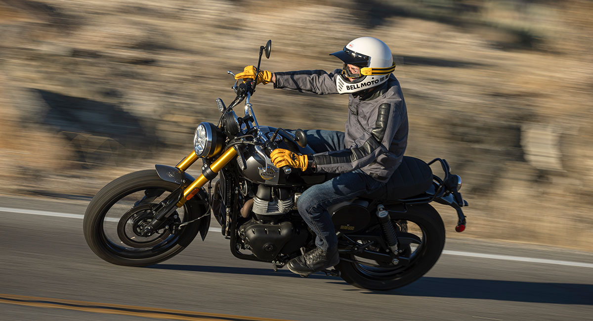 royal enfield bear