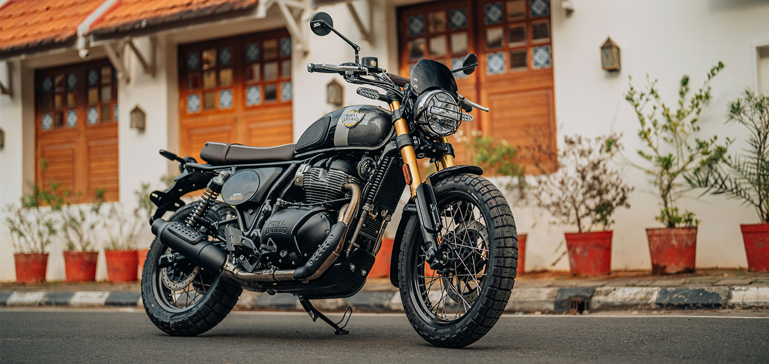 roya elnfield bear 350